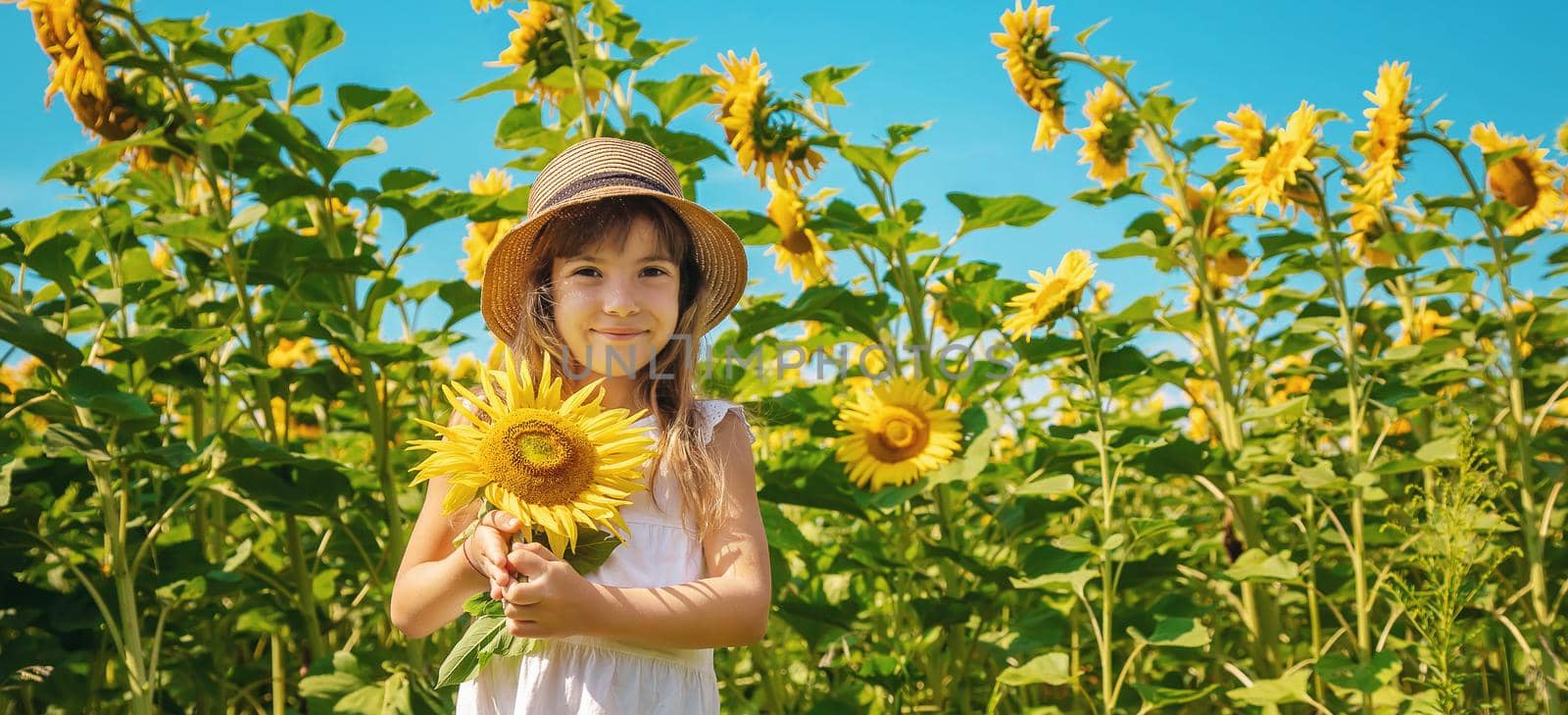 A child in a field of sunflowers. Selective focus.