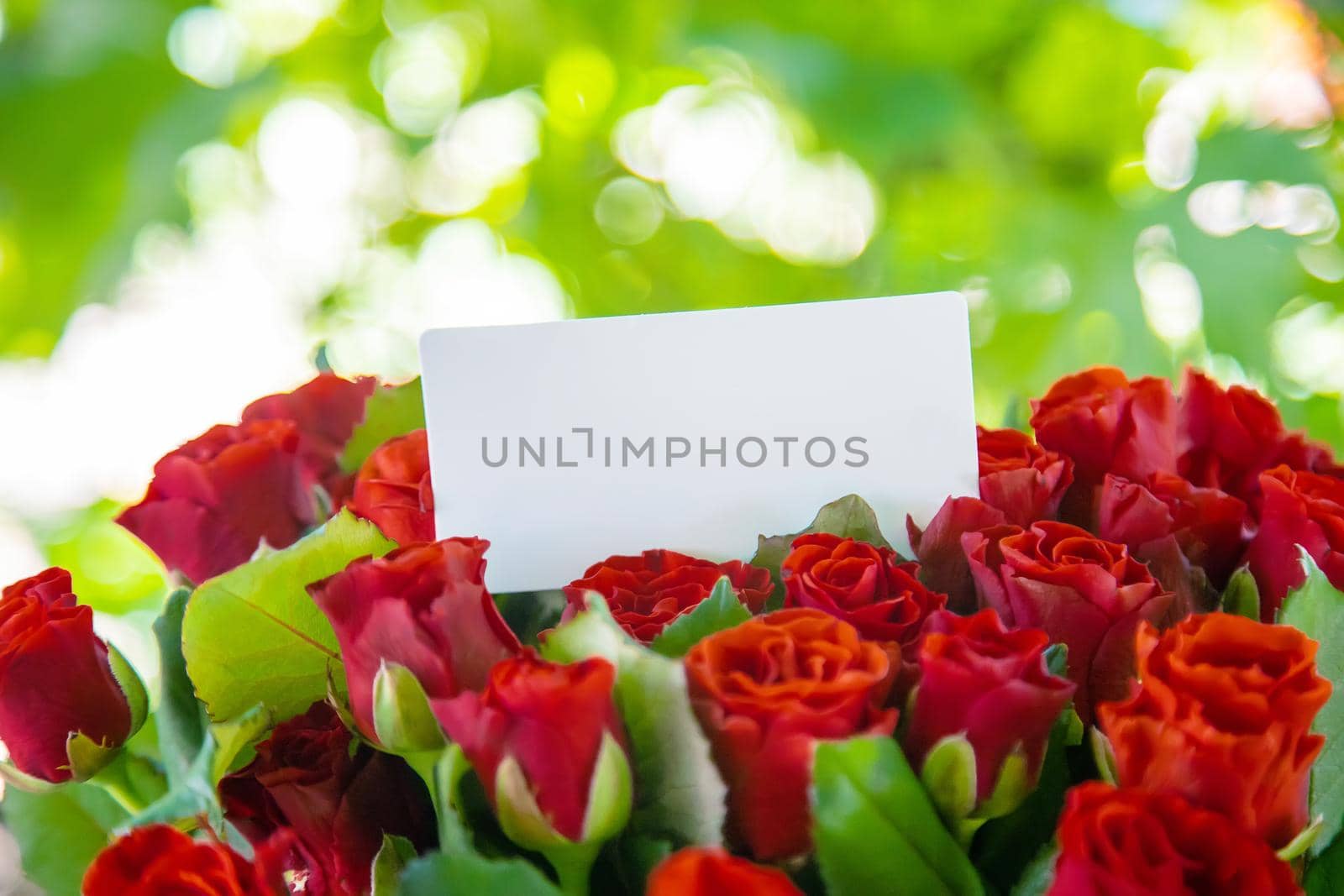 Bouquet of red roses, a gift for Valentine's Day. Selective focus. Holiday.