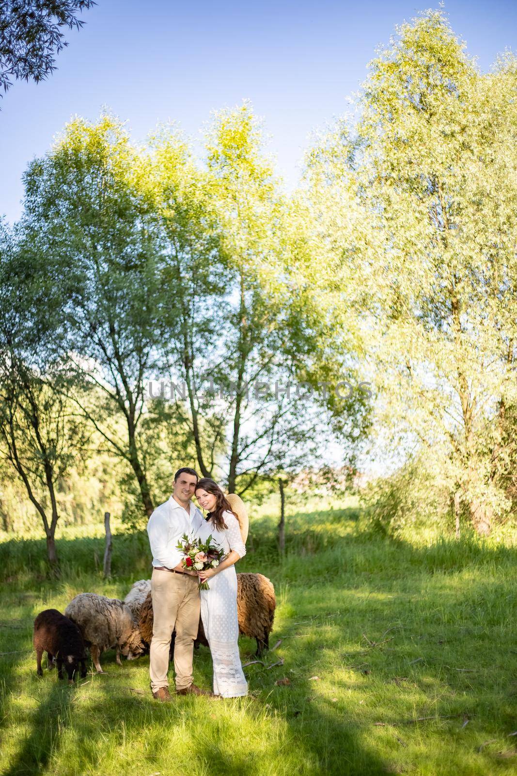 Happy young people in wedding attire stand in the meadow and look at each other, in the background there are lambs in the meadow by Anyatachka