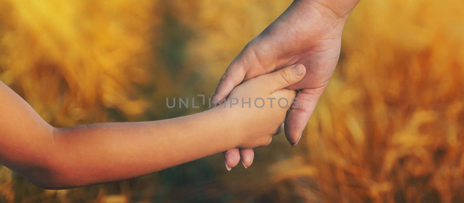 Child and father in a wheat field. Selective focus. nature.