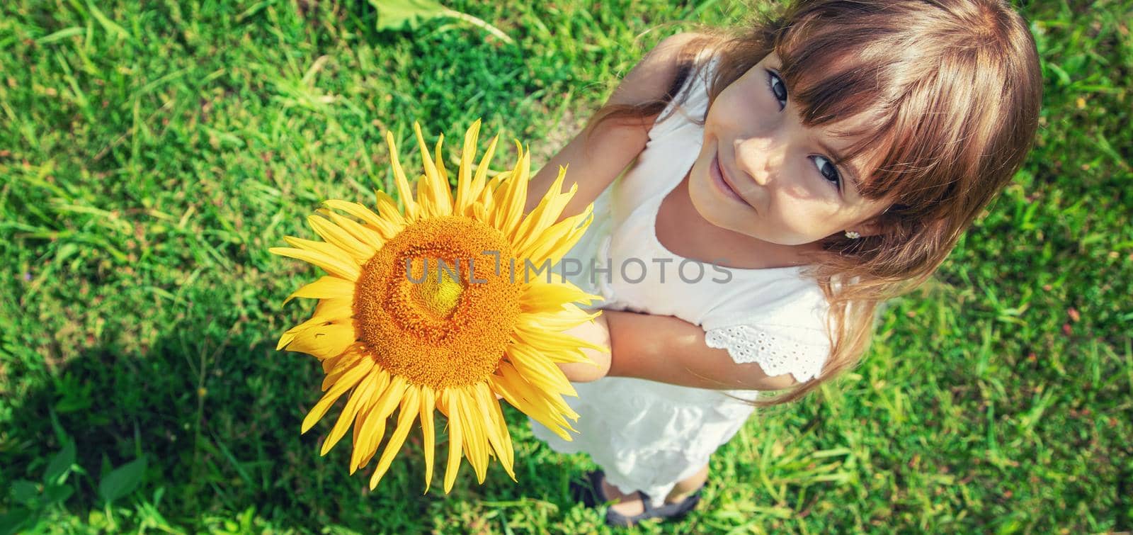 A child in a field of sunflowers. Selective focus.