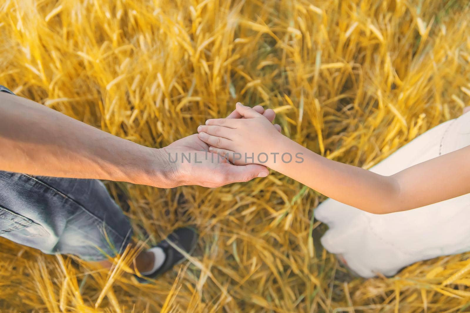 Child and father in a wheat field. Selective focus. nature.