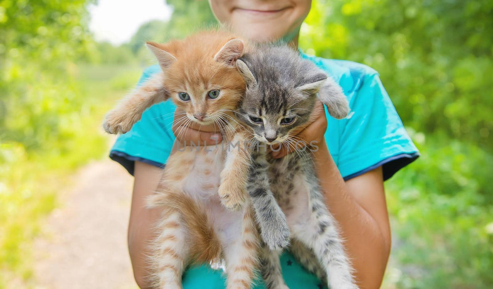 Little kittens in the hands of children. Selective focus. by yanadjana