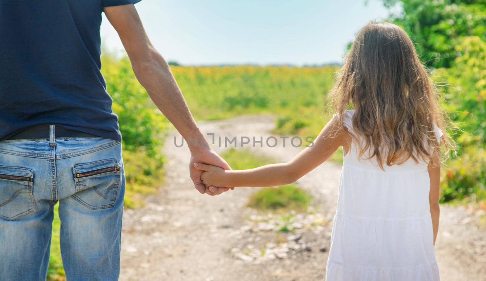 Father and daughter walk holding hands. Selective focus. by yanadjana