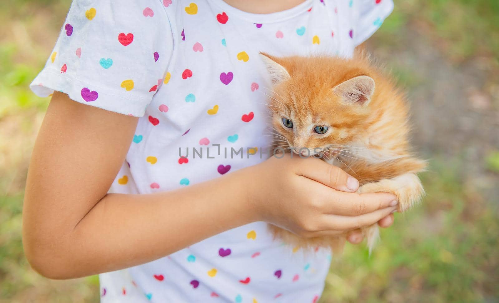 Little kittens in the hands of children. Selective focus. Animals.