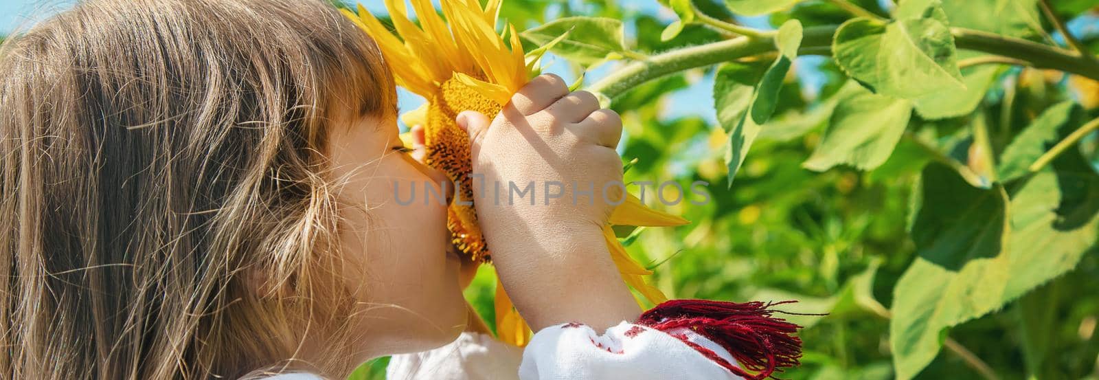 A child in a field of sunflowers in an embroidered shirt. Ukrainian. Selective focus.