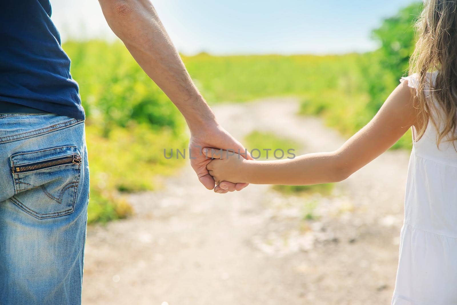 Father and daughter walk holding hands. Selective focus. by yanadjana