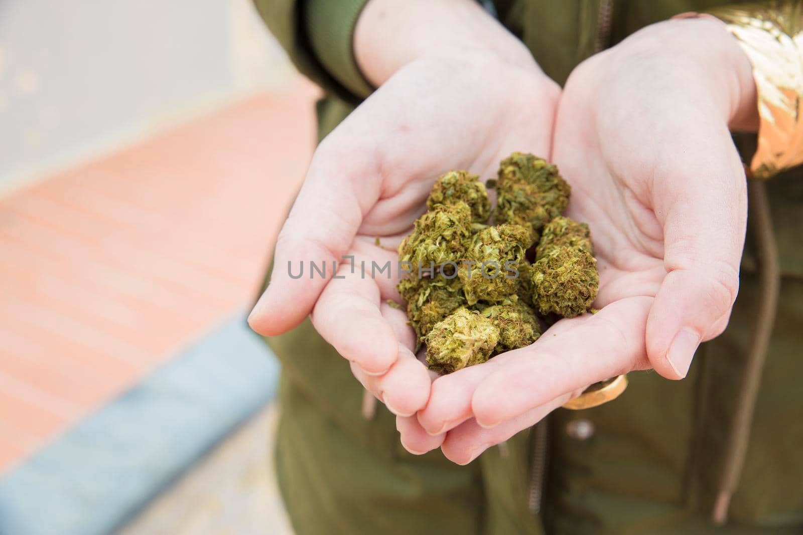 Girl Hands holding marijuana flowers