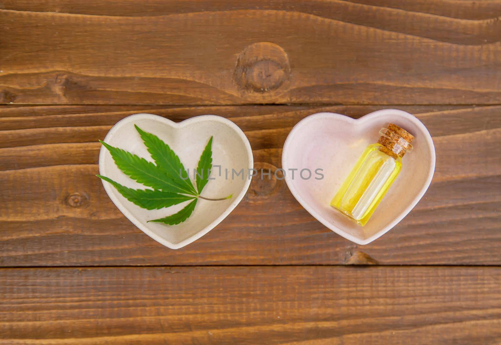 Cannabis herb and leaves for treatment broth, tincture, extract, oil. Selective focus. nature