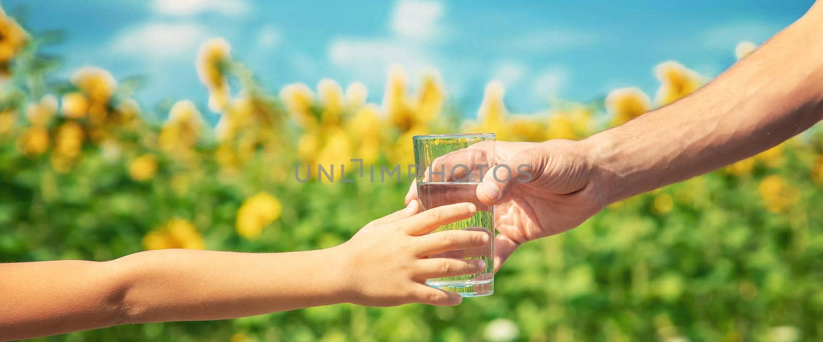 The father gives the child water in the background of the field. Selective focus. by yanadjana