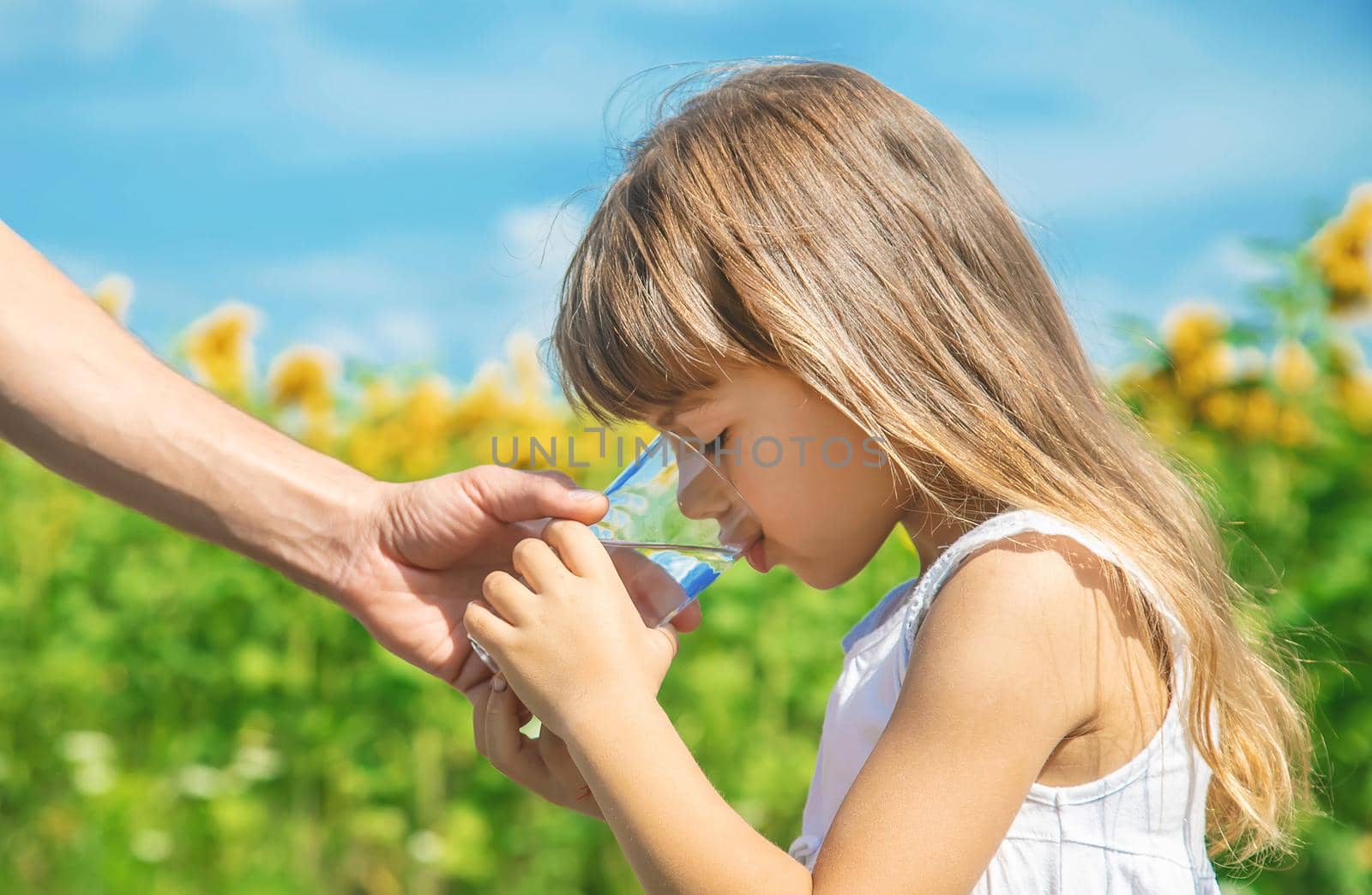 The father gives the child water in the background of the field. Selective focus.