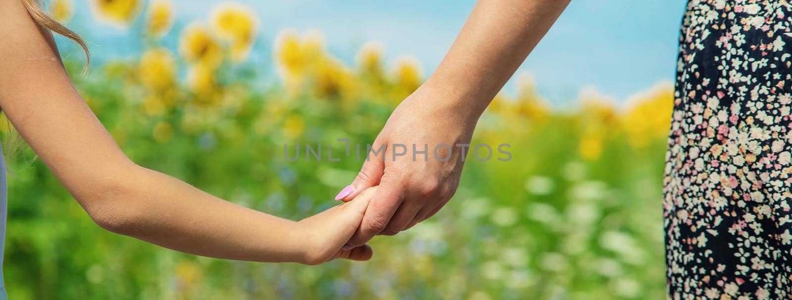 Mother and daughter go hand in hand in a field of sunflowers. Selective focus. nature.