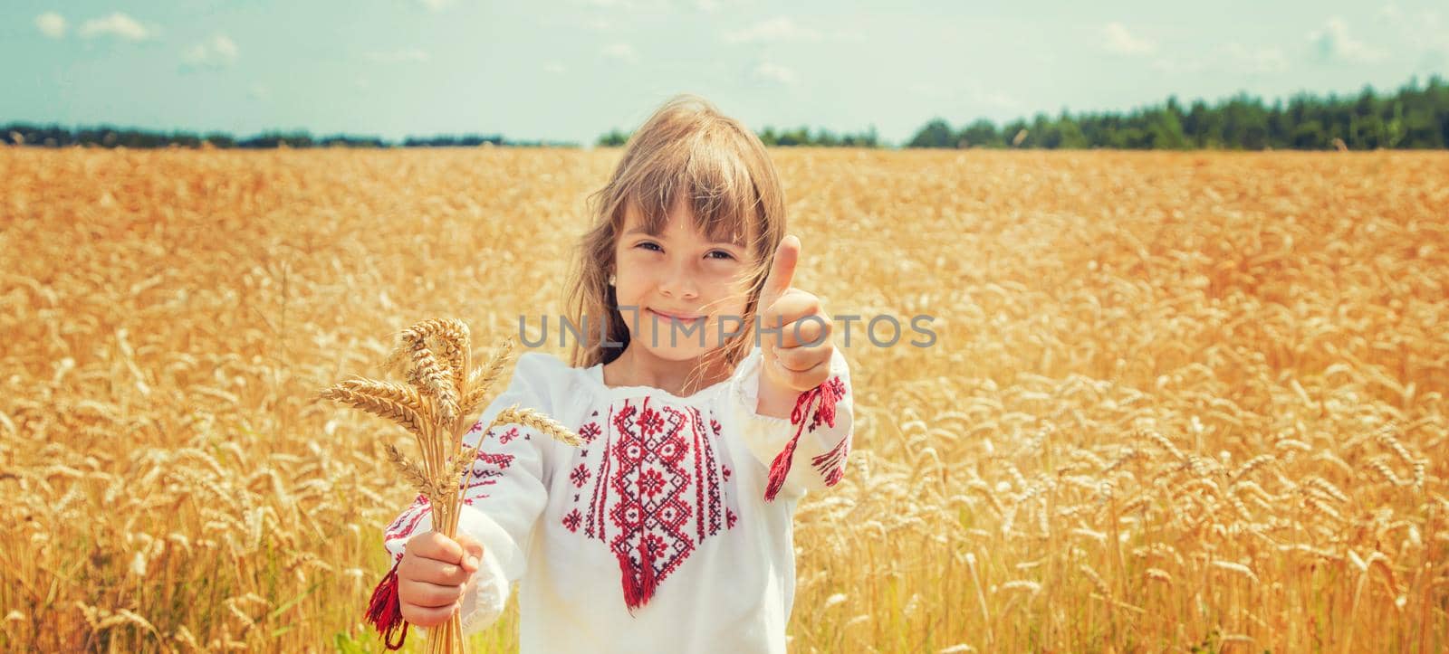 A child in a field of wheat in an embroidered shirt. Ukrainian. Selective focus.