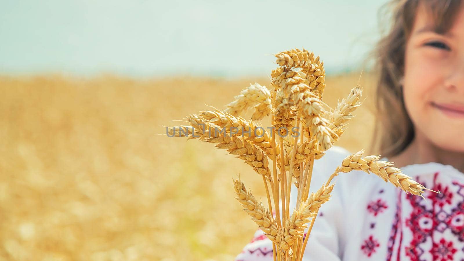A child in a field of wheat in an embroidered shirt. Ukrainian. Selective focus.