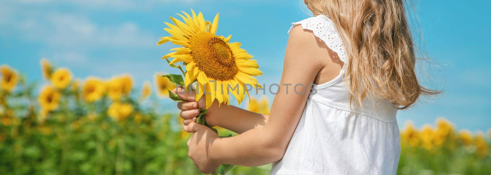 A child in a field of sunflowers. Selective focus.