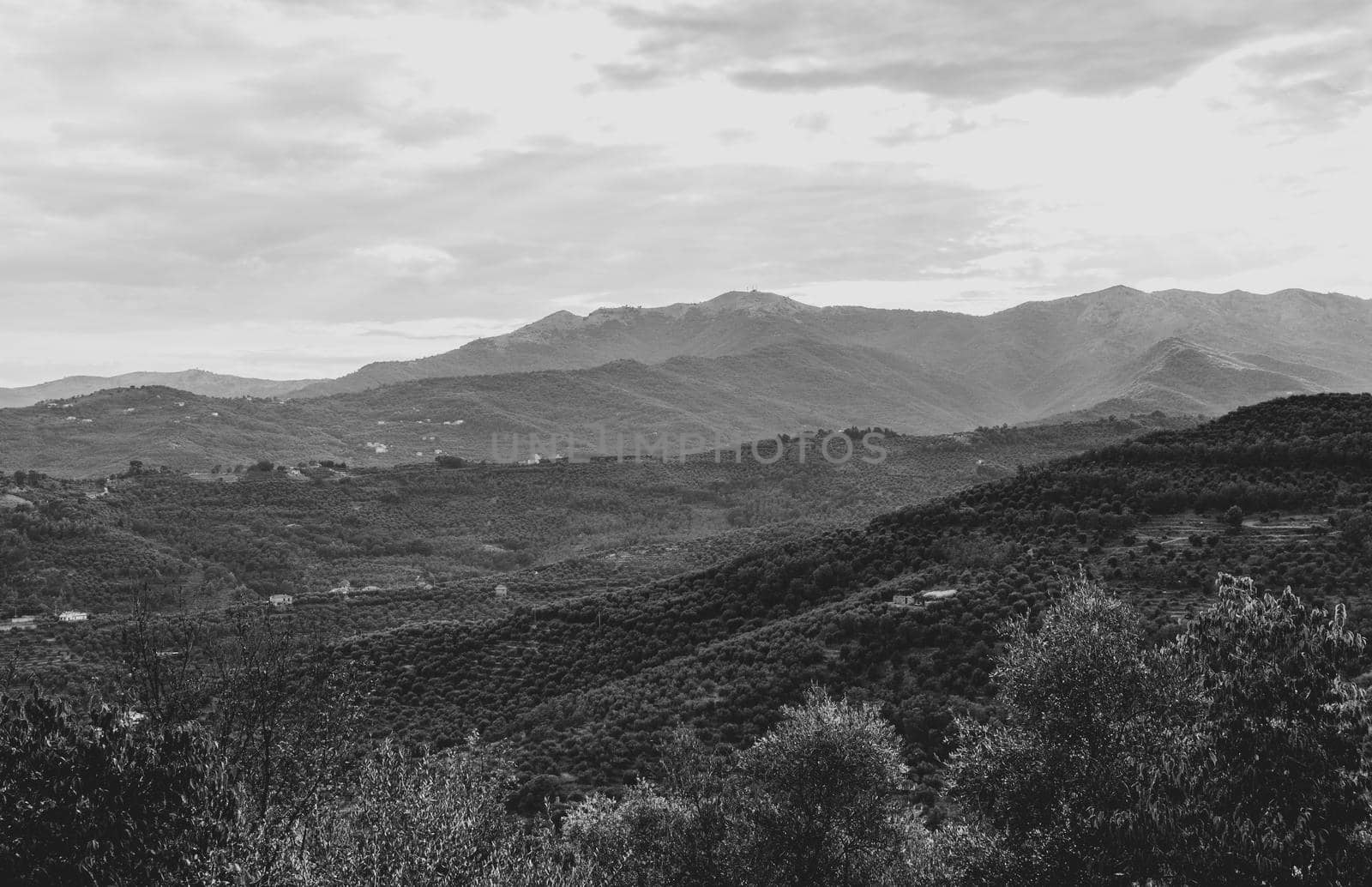 landscape of the Ligurian hinterland, black and white photography