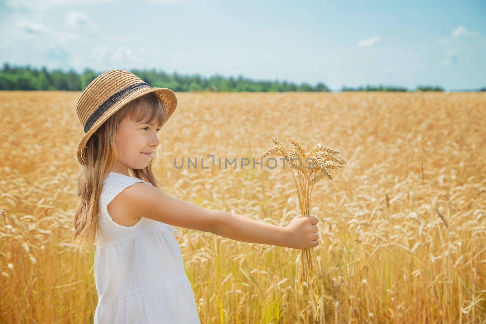 A child in a wheat field. Selective focus. by yanadjana