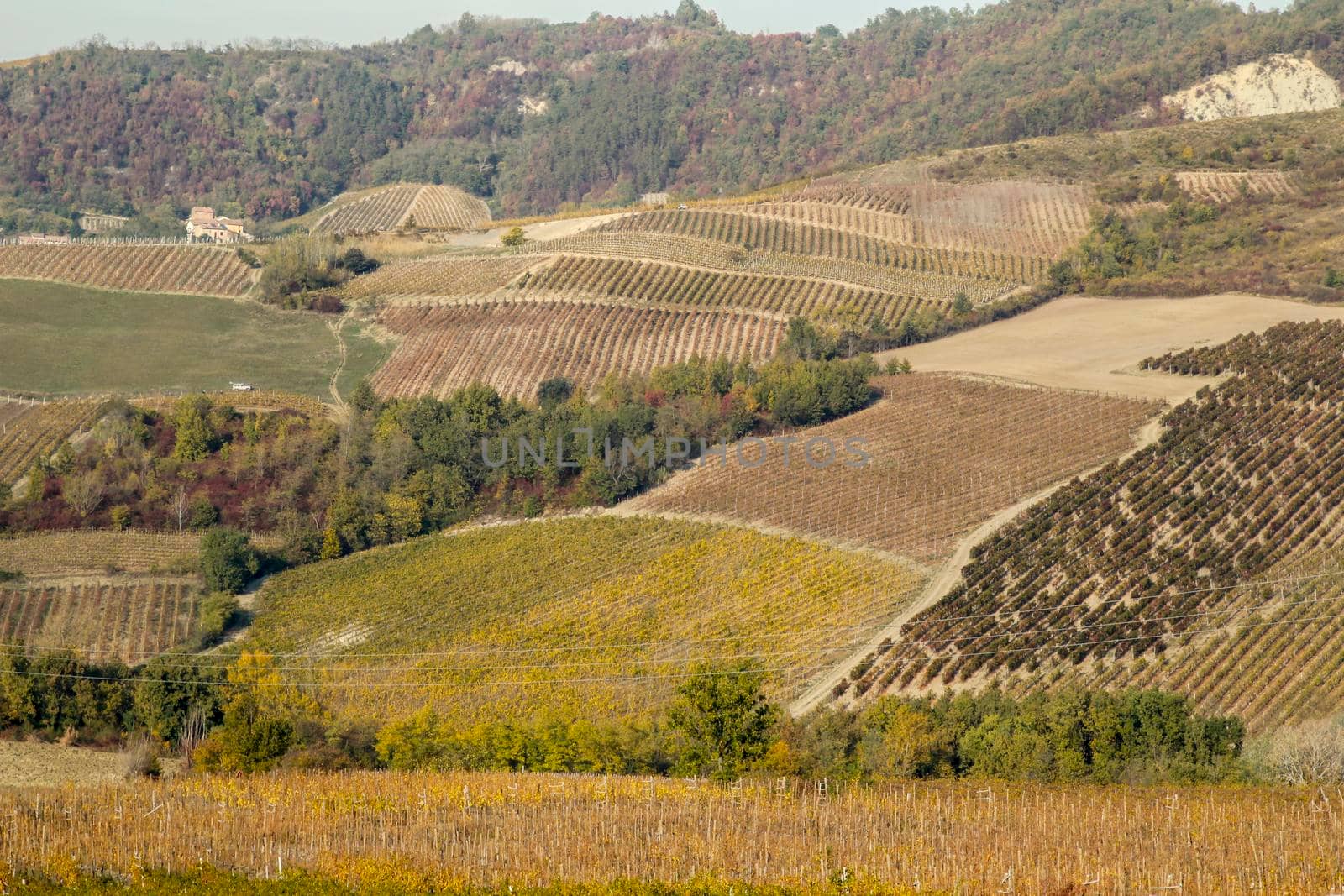 The landscape of the hills of the Oltrepo Pavese, you can see the hills where it is produced the wine of high quality Italian