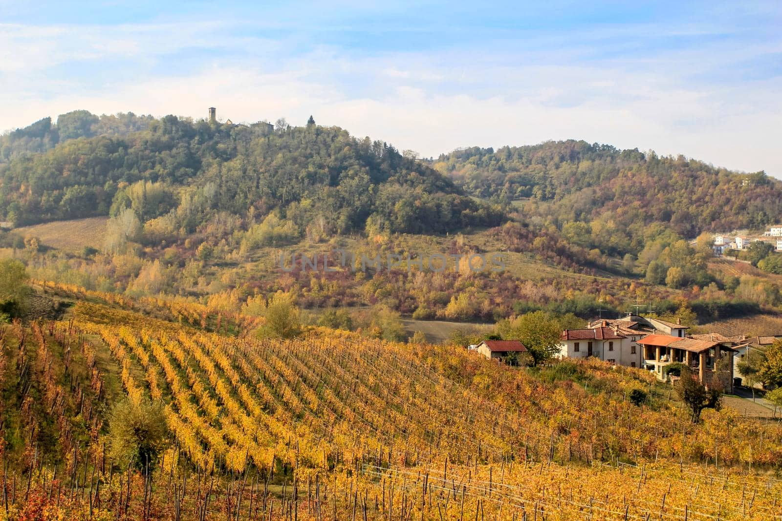 The landscape of the hills of the Oltrepo Pavese, you can see the hills where it is produced the wine of high quality Italian