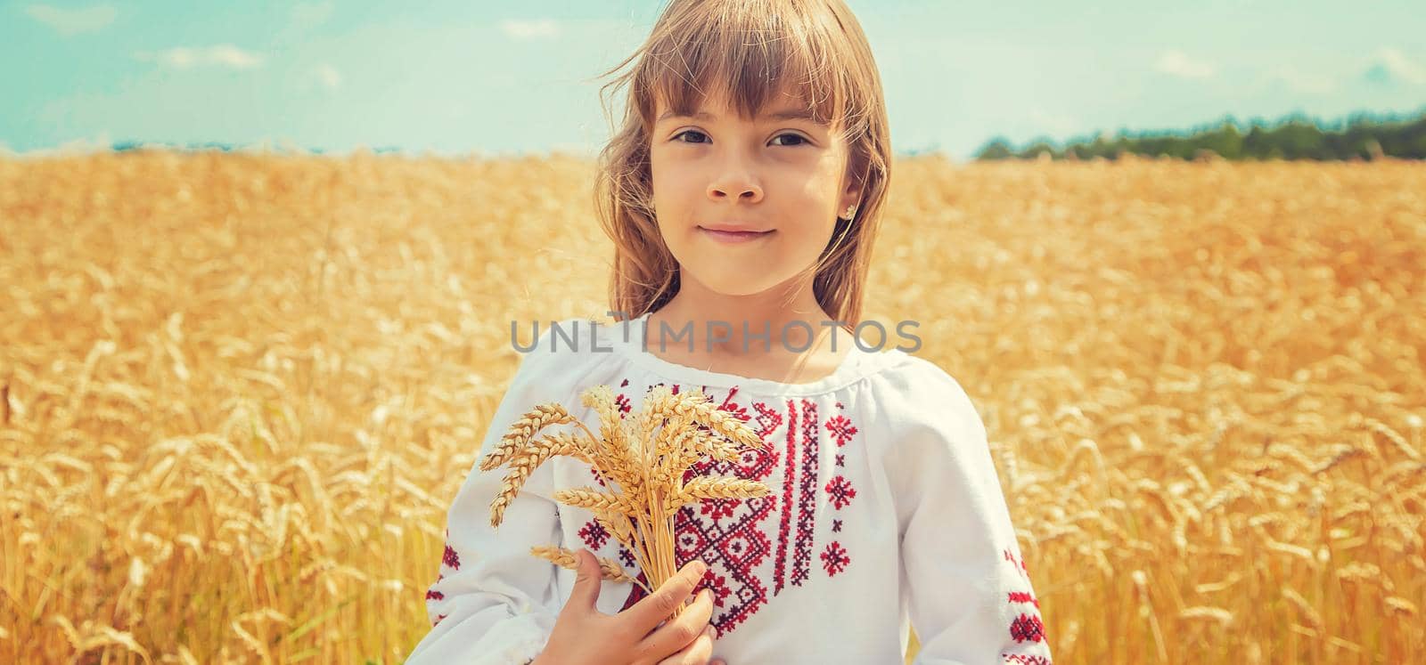 A child in a field of wheat in an embroidered shirt. Ukrainian. Selective focus.