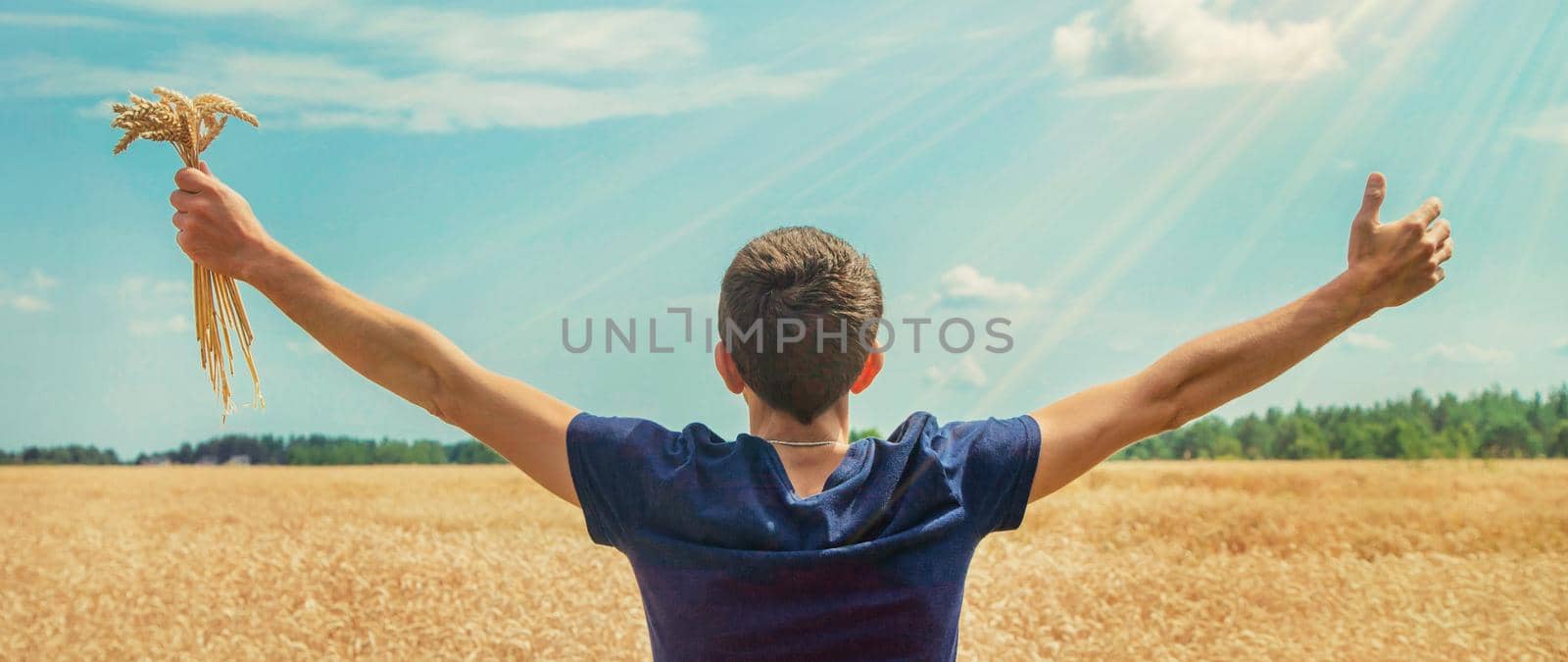 A man with spikelets of wheat in his hands. Selective focus. nature.