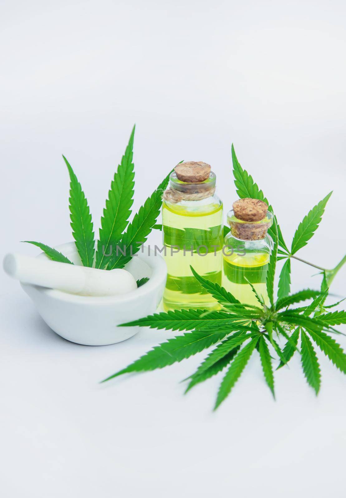 Cannabis herb and leaves for treatment broth, tincture, extract, oil. Selective focus. nature