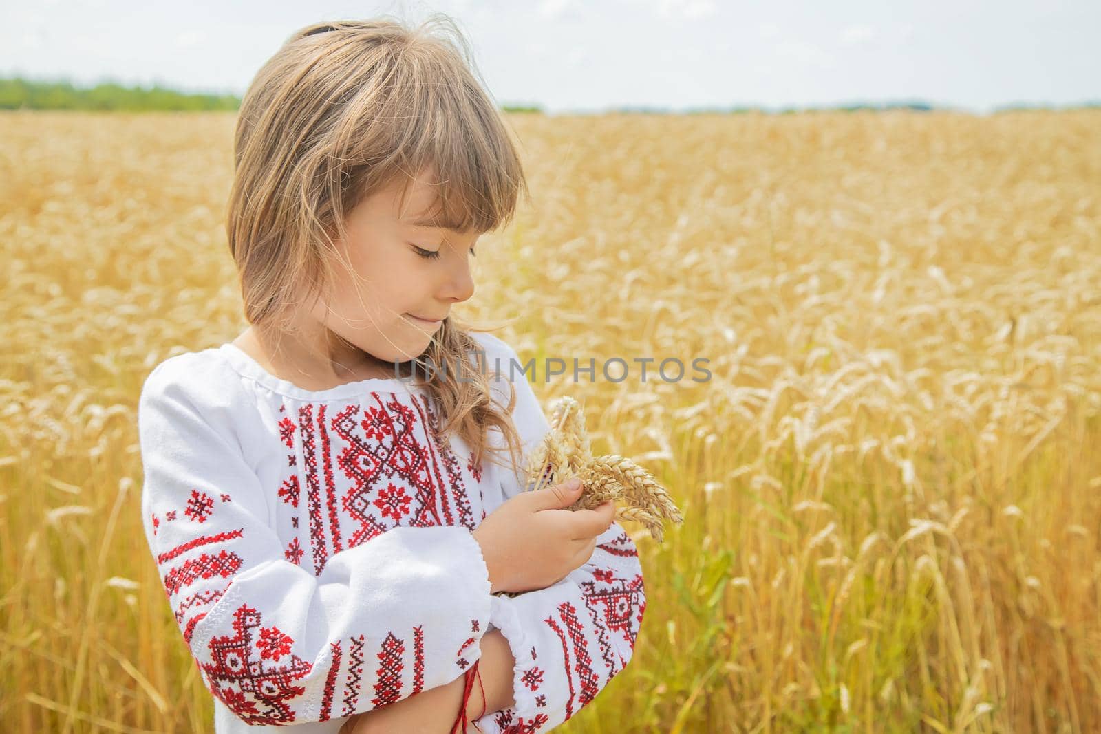 A child in a field of wheat in an embroidered shirt. Ukrainian. Selective focus.