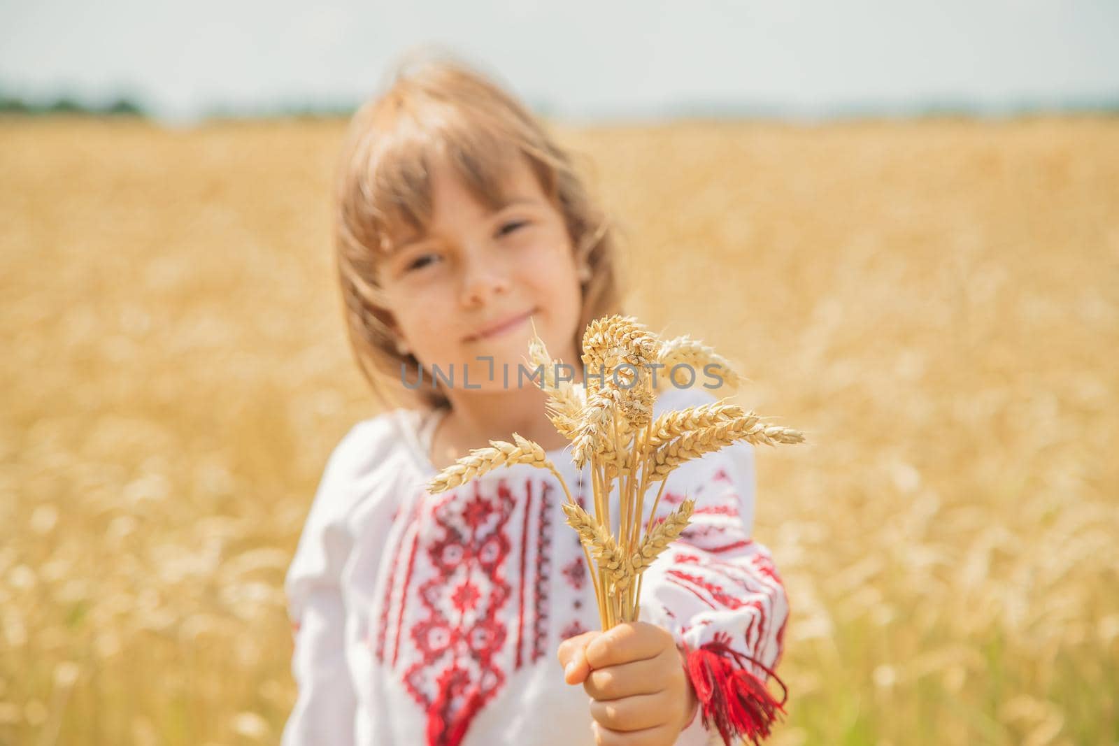 A child in a field of wheat in an embroidered shirt. Ukrainian. Selective focus.