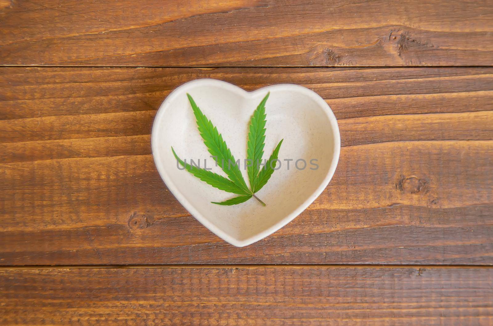 Cannabis herb and leaves for treatment broth, tincture, extract, oil. Selective focus. nature