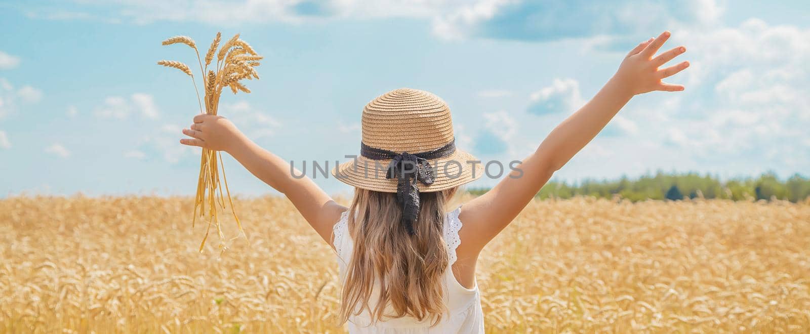 A child in a wheat field. Selective focus. nature.