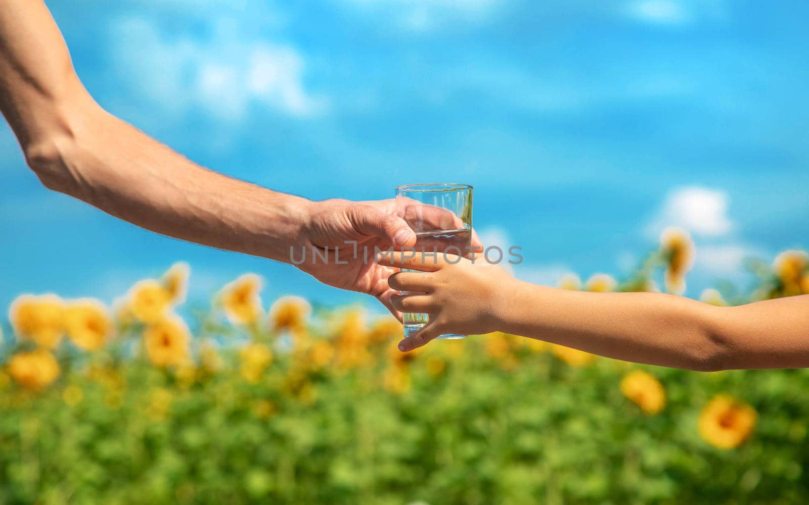 The child and father are holding a glass of water in their hands. Selective focus. Kid.