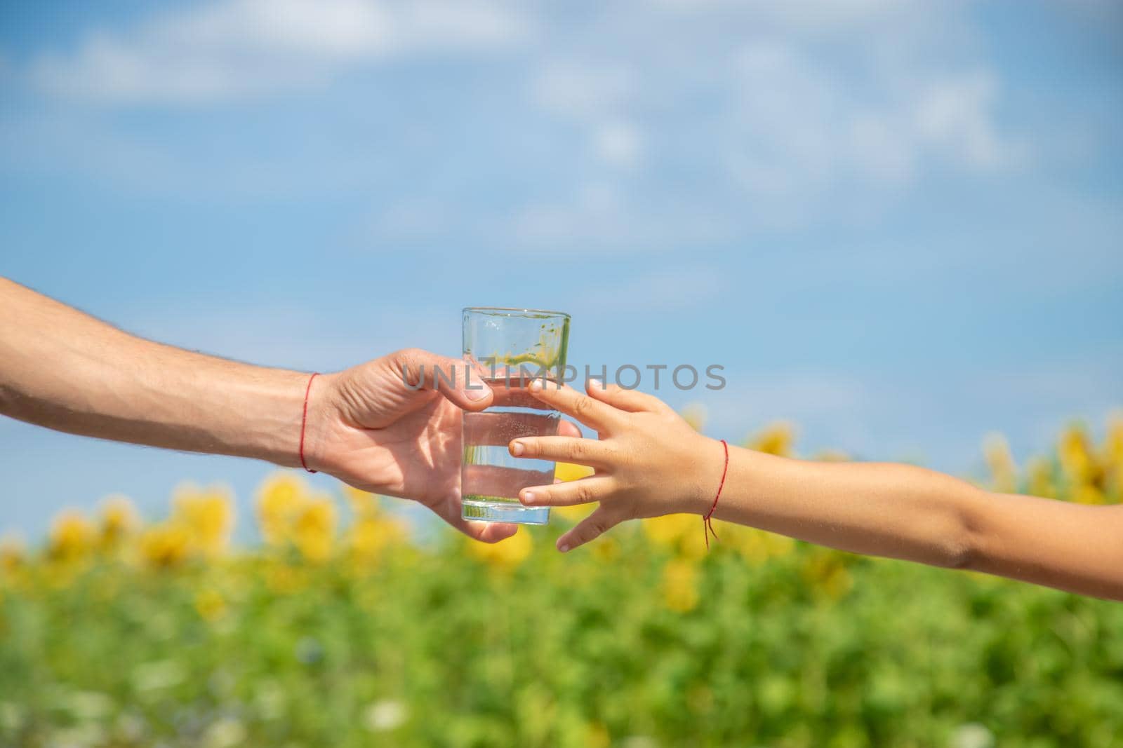 The father gives the child water in the background of the field. Selective focus. nature