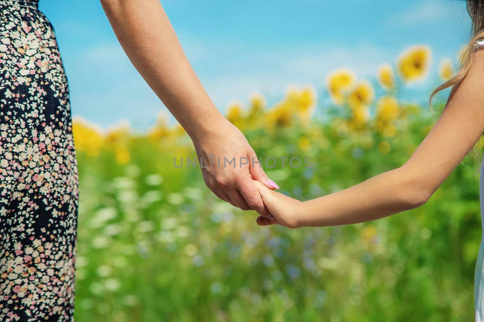 Mother and daughter go hand in hand in a field of sunflowers. Selective focus. by yanadjana