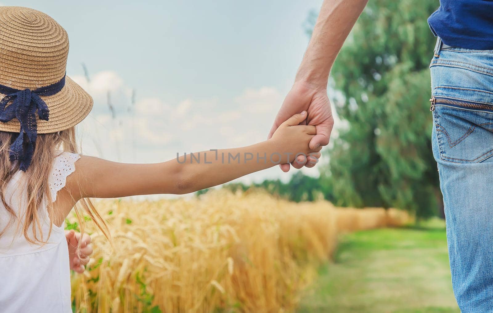 Child and father in a wheat field. Selective focus. by yanadjana