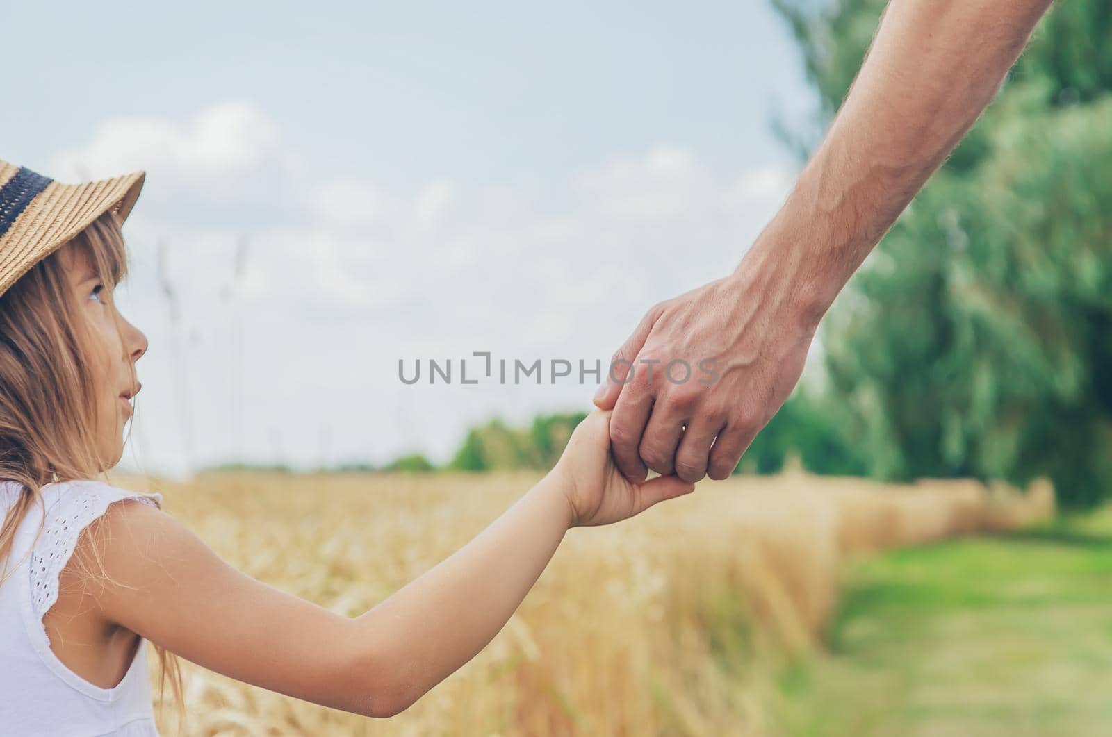 Child and father in a wheat field. Selective focus. by yanadjana