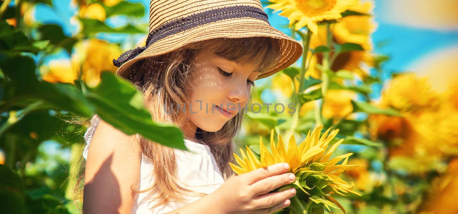 A child in a field of sunflowers. Selective focus.