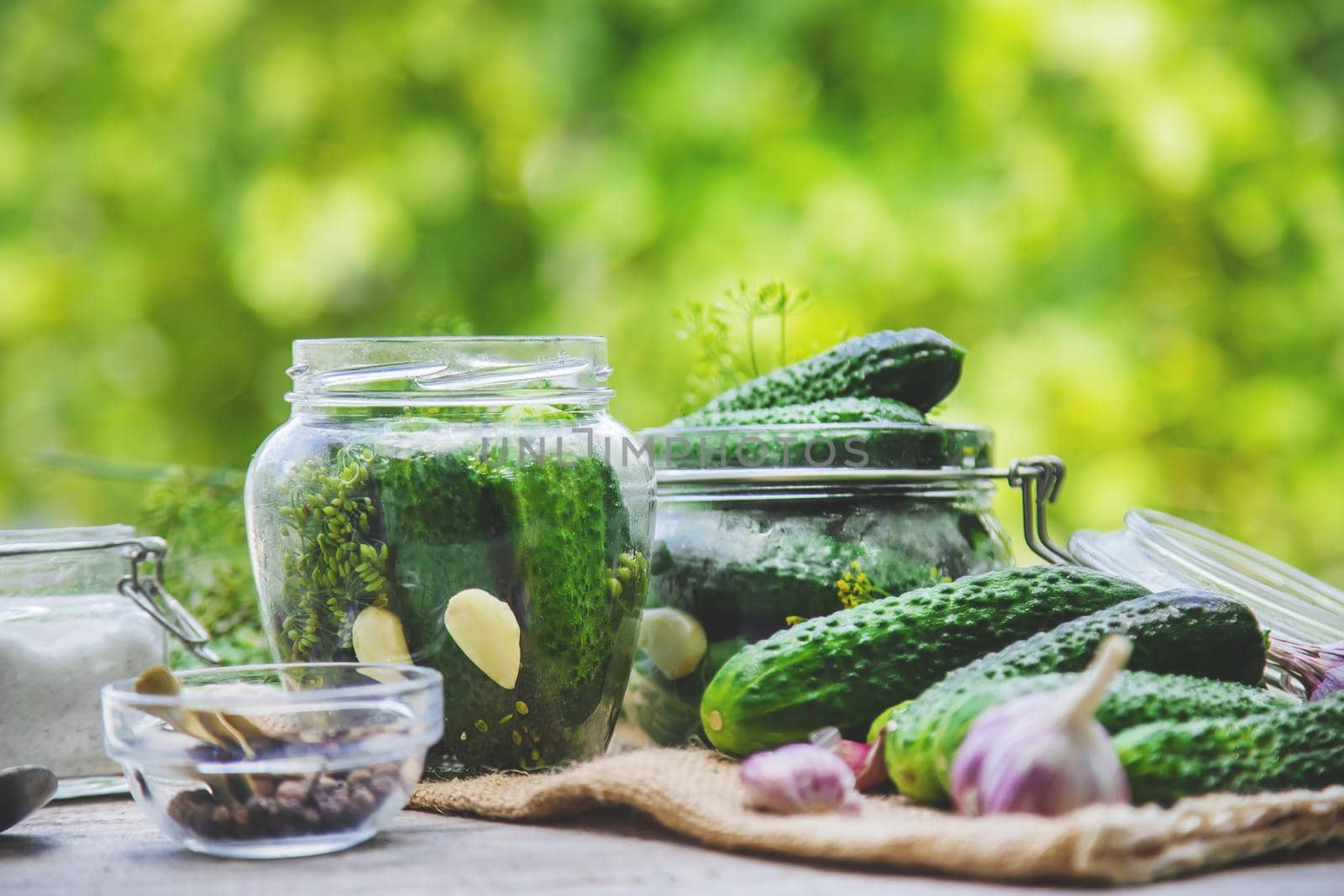 preservation of fresh house cucumbers. Selective focus. nature