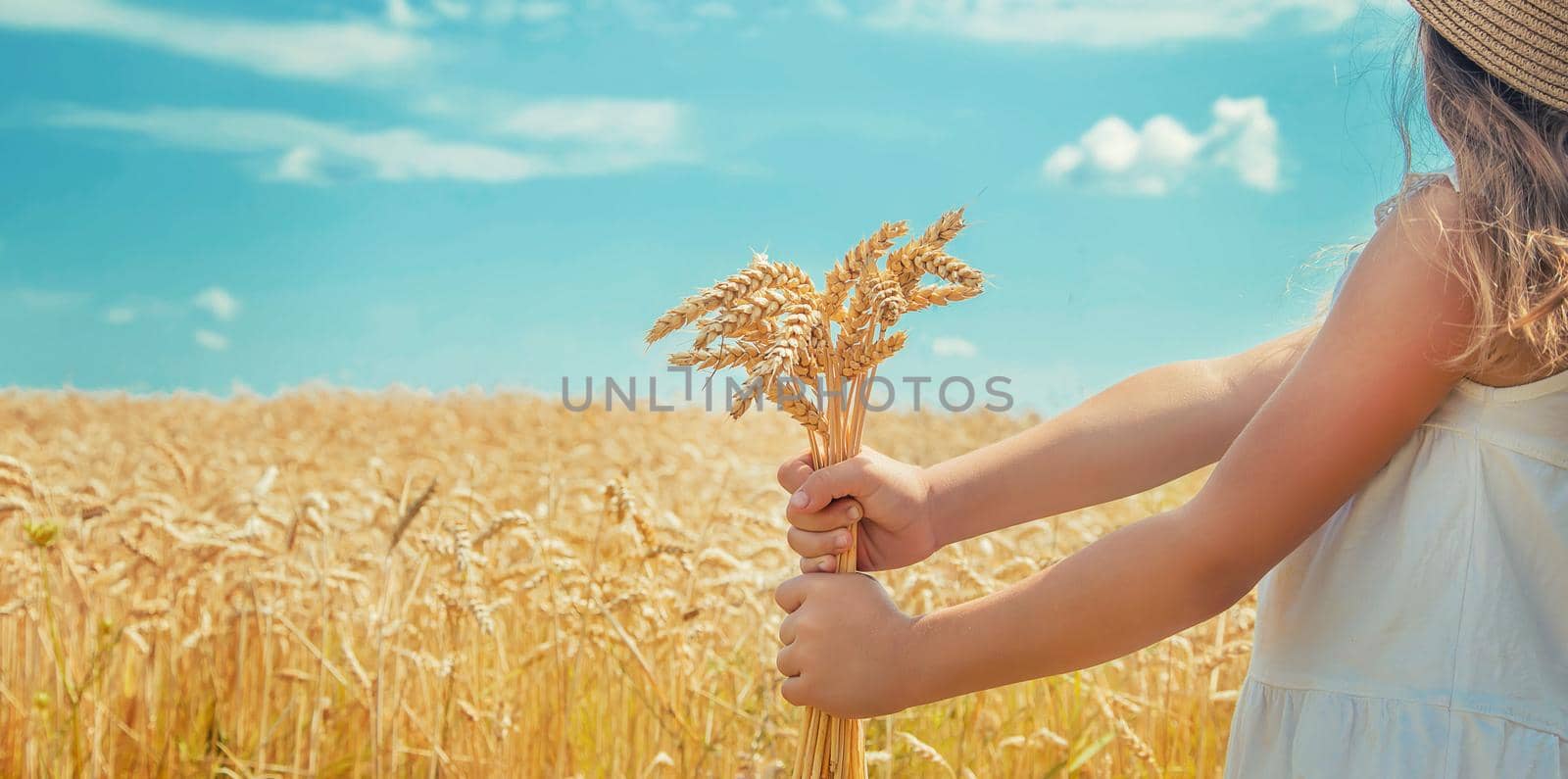 A child in a wheat field. Selective focus. nature.