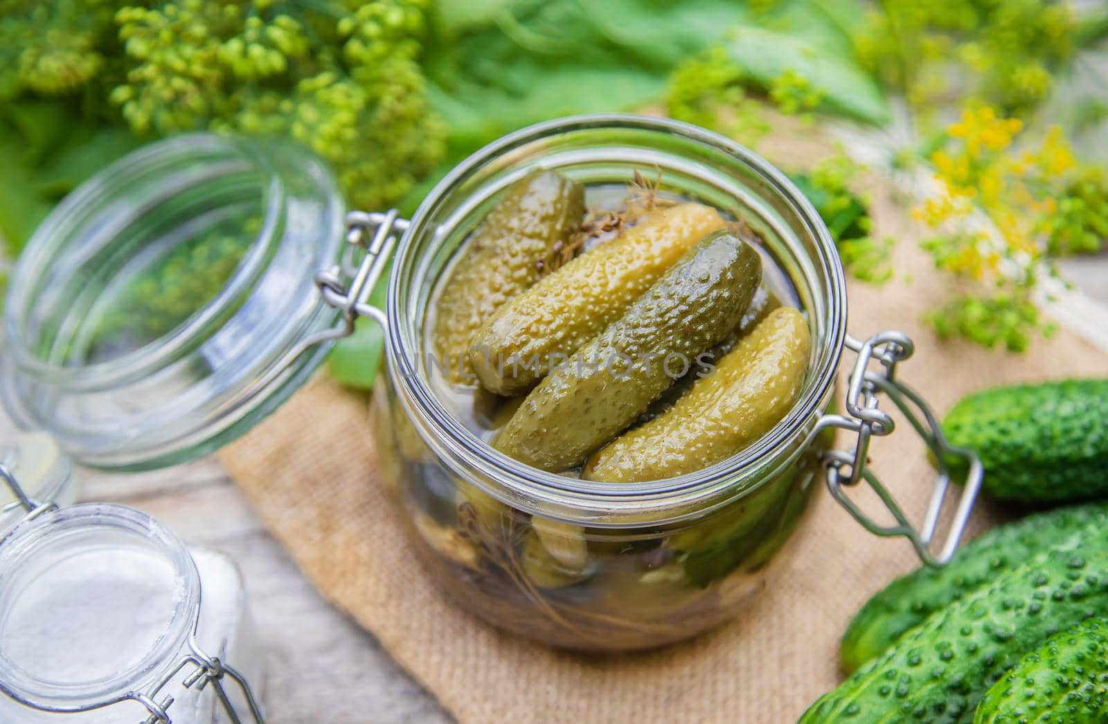 preservation of fresh house cucumbers. Selective focus. nature