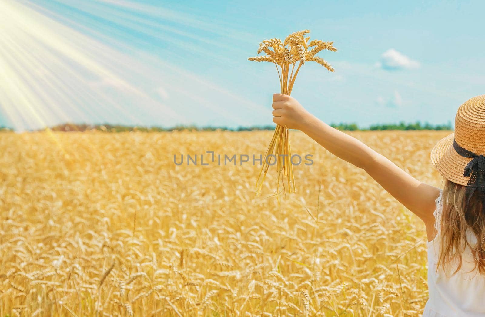 A child in a wheat field. Selective focus. by yanadjana