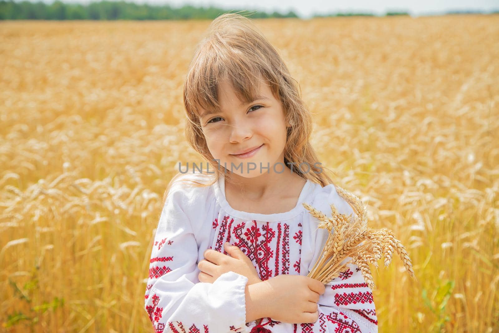 A child in a field of wheat in an embroidered shirt. Ukrainian. Selective focus. by yanadjana