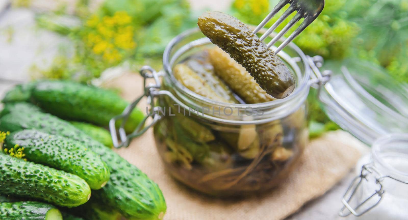 preservation of fresh house cucumbers. Selective focus. nature