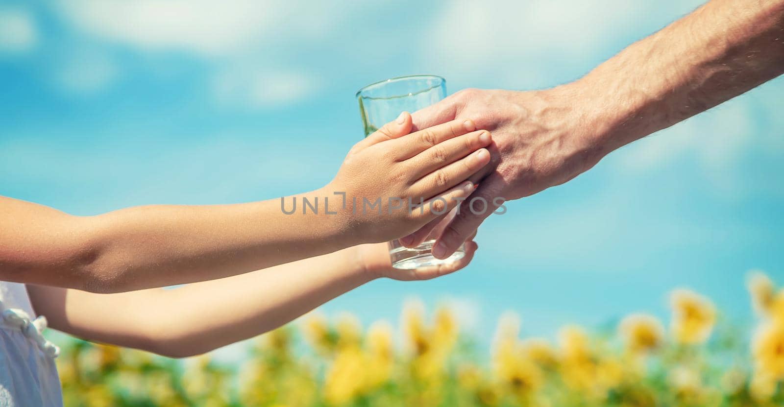 The father gives the child water in the background of the field. Selective focus. nature