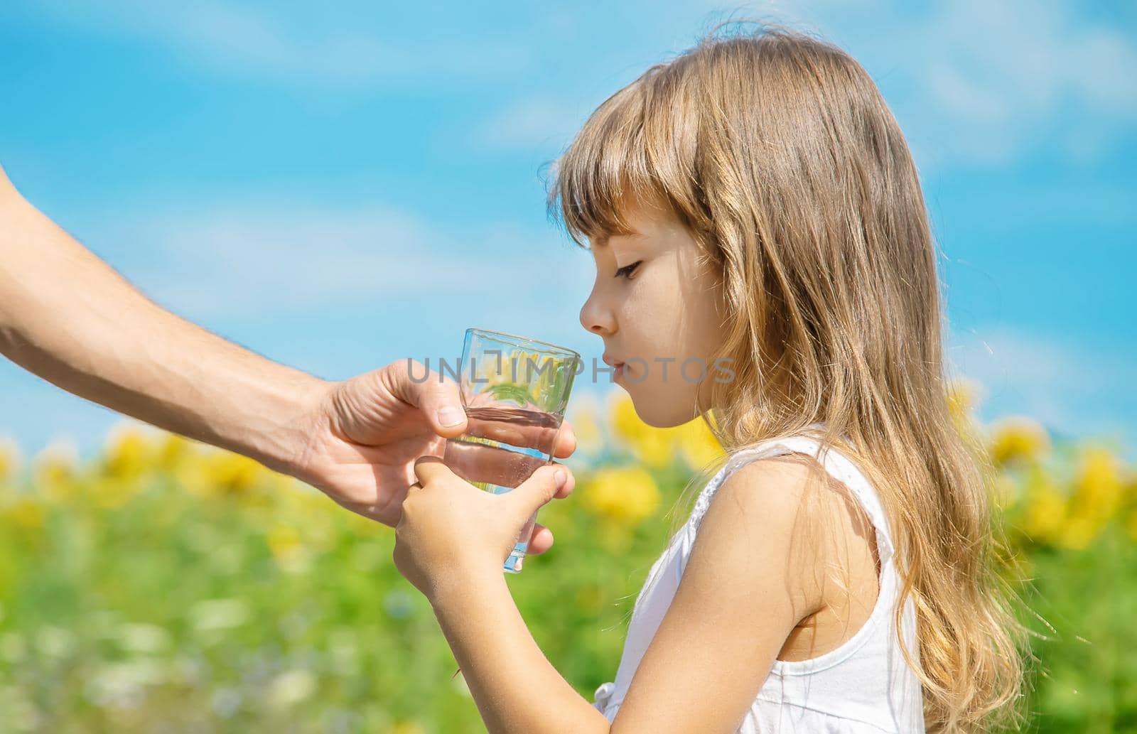 The father gives the child water in the background of the field. Selective focus. by yanadjana