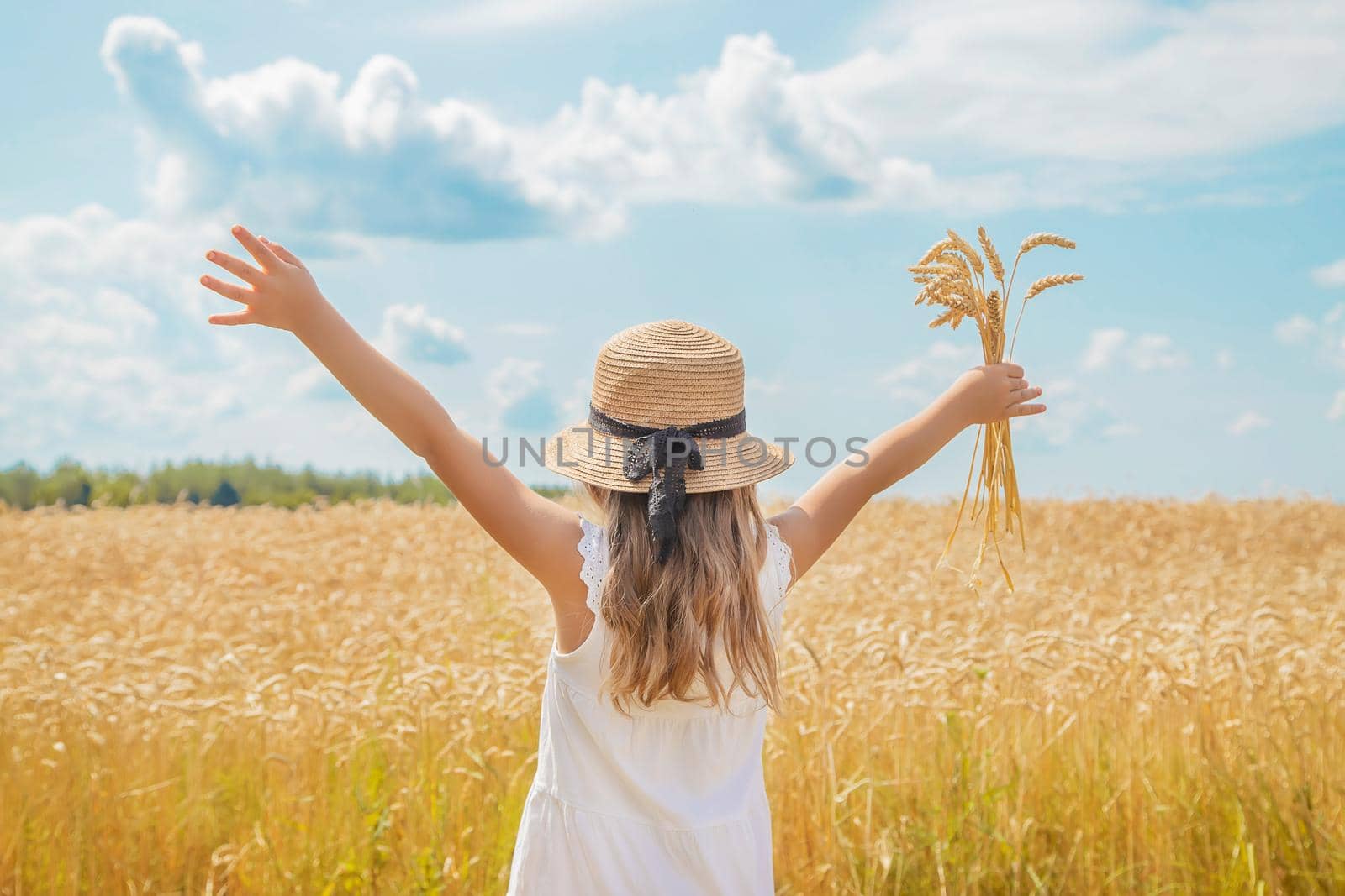 A child in a wheat field. Selective focus. nature.