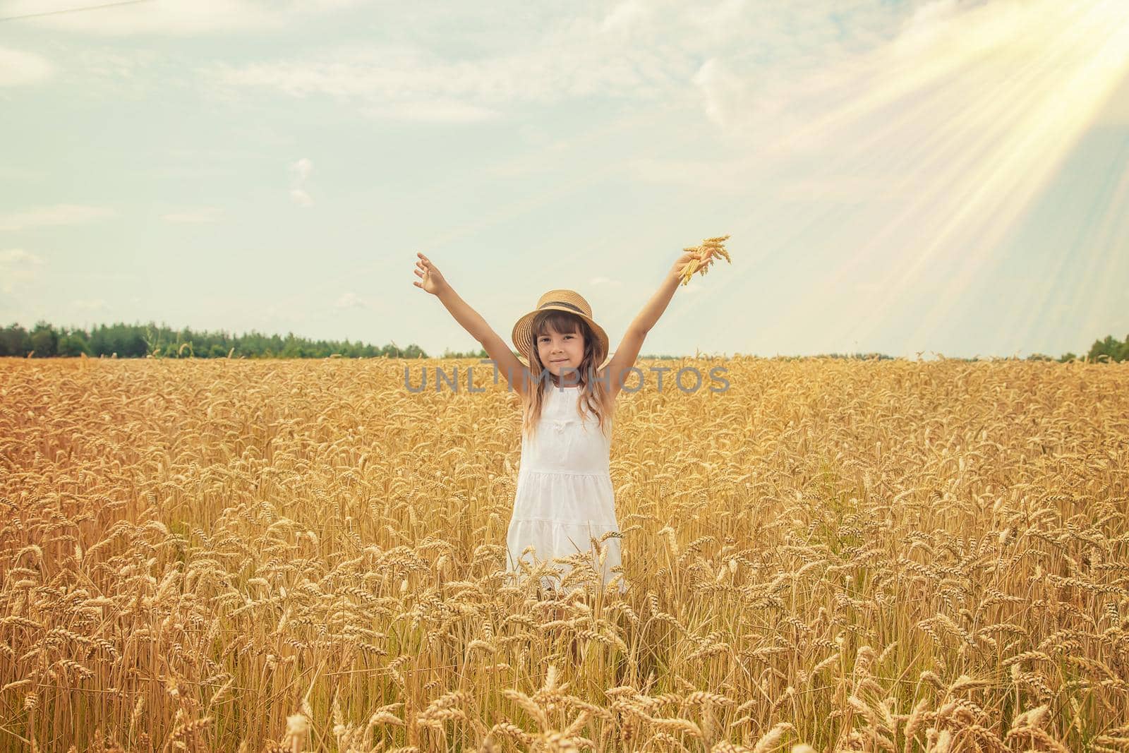 A child in a wheat field. Selective focus. by yanadjana