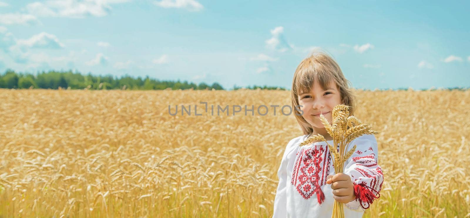 A child in a field of wheat in an embroidered shirt. Ukrainian. Selective focus. by yanadjana