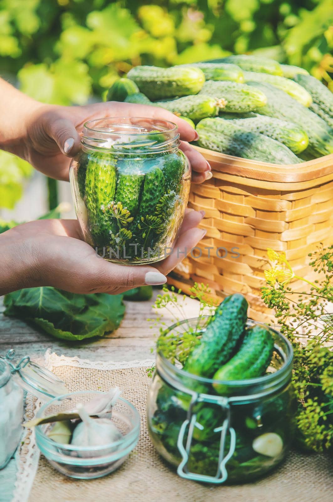 preservation of fresh house cucumbers. Selective focus. by yanadjana