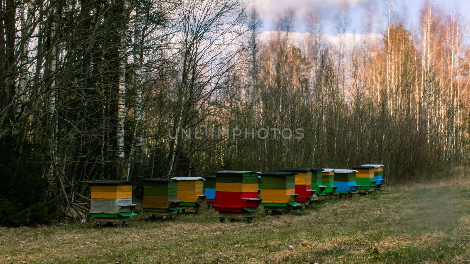 Colorful bee houses, create honey by scudrinja