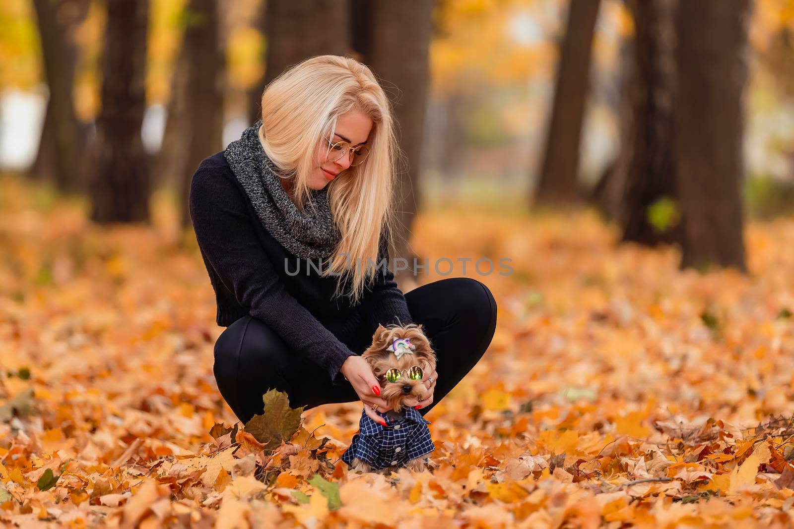 girl with a Yorkshire terrier dog in the autumn park